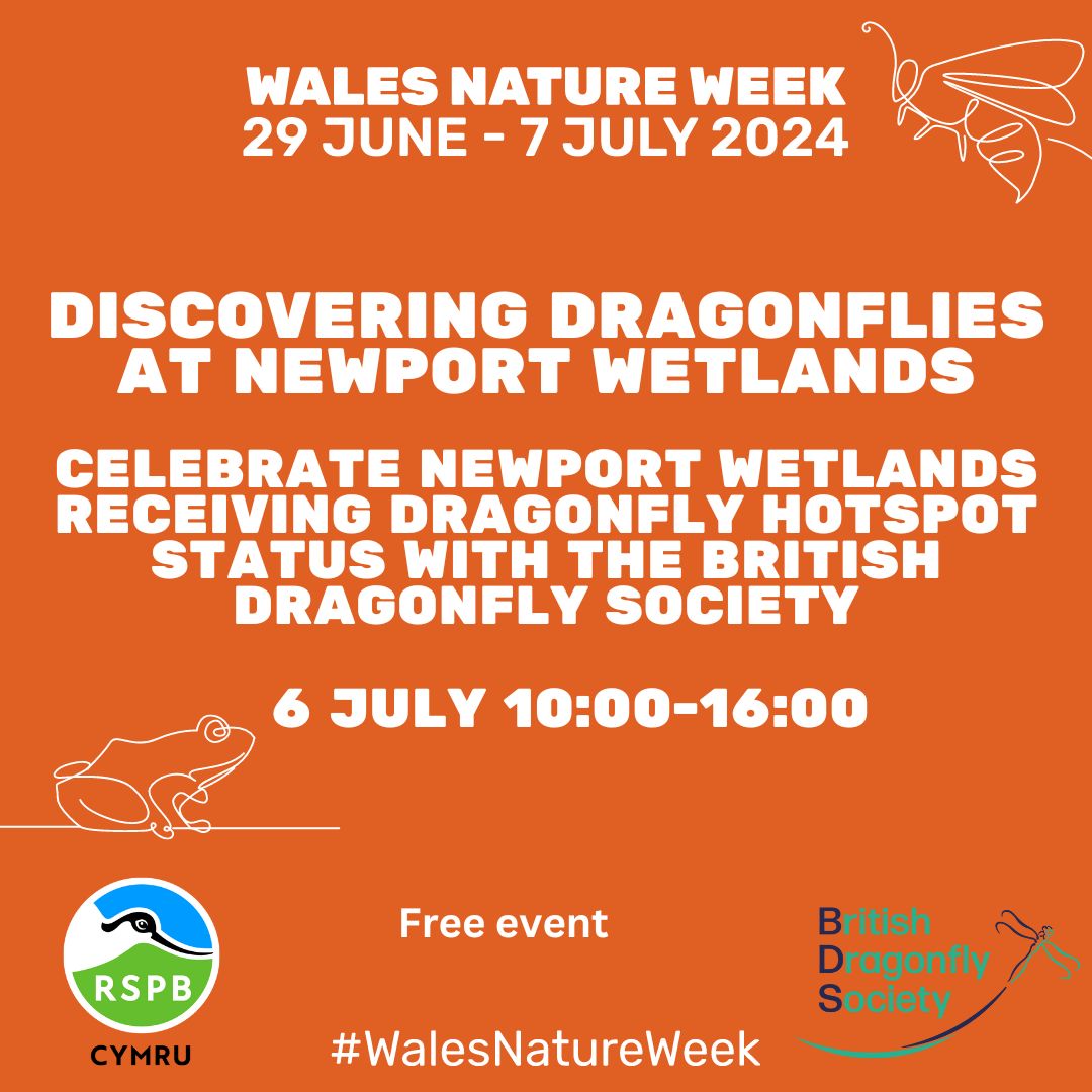 Discovering Dragonflies at Newport Wetlands